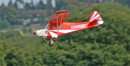 World Models Clipped Wing Cub